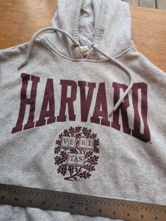 Harvard Hoodie adult small grey - photo 3