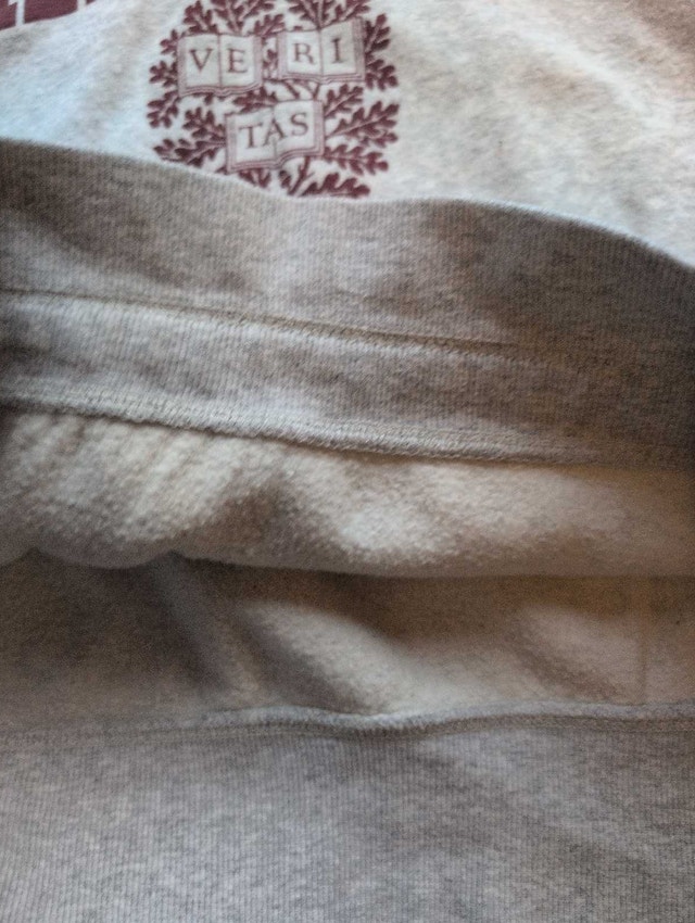 Harvard Hoodie adult small grey - photo 4