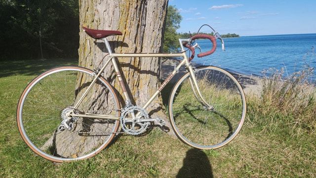 Vintage Velo Sport Prestige Road Bike - Mid-80s