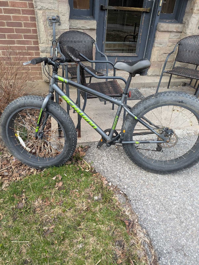 Schwinn Biggity Mountain Bike