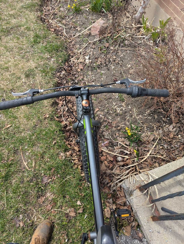 Schwinn Biggity Mountain Bike - photo 2