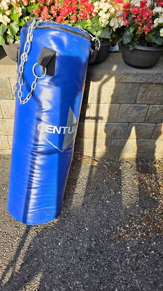 Punching Bag with Gloves and Mounting Bracket