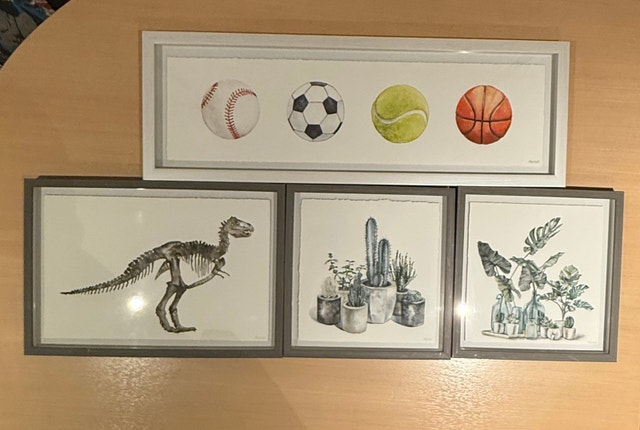 Set of 4 Framed Art Prints - Sports, Dinosaur, Plants & More