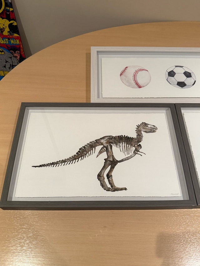Set of 4 Framed Art Prints - Sports, Dinosaur, Plants & More - photo 2