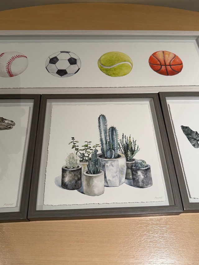 Set of 4 Framed Art Prints - Sports, Dinosaur, Plants & More - photo 3