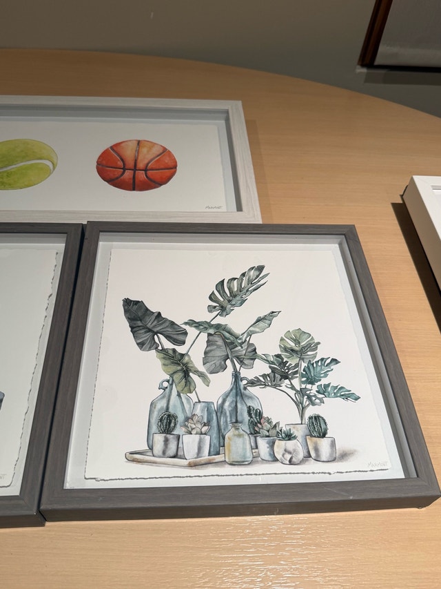 Set of 4 Framed Art Prints - Sports, Dinosaur, Plants & More - photo 4