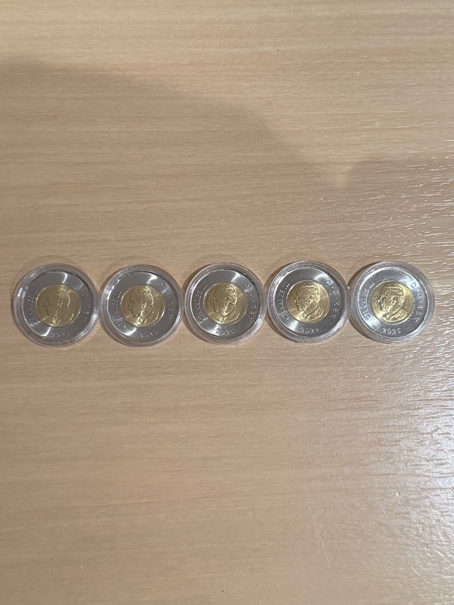 Canadian Toonies - photo 2