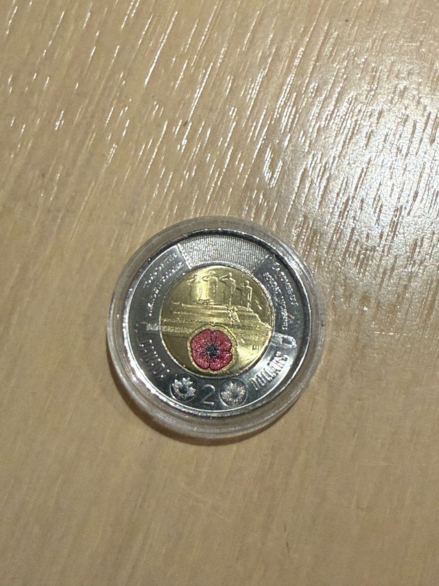 Canadian Toonies - photo 4