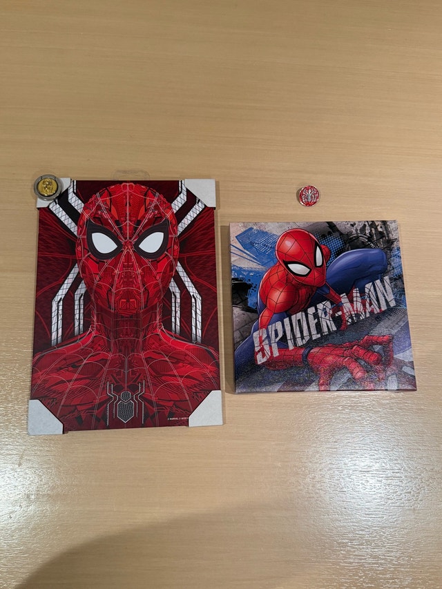 Spider-Man Canvas Wall Decor Set with Pin