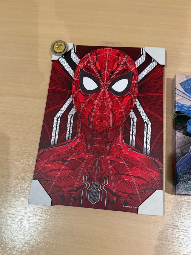 Spider-Man Canvas Wall Decor Set with Pin - photo 2