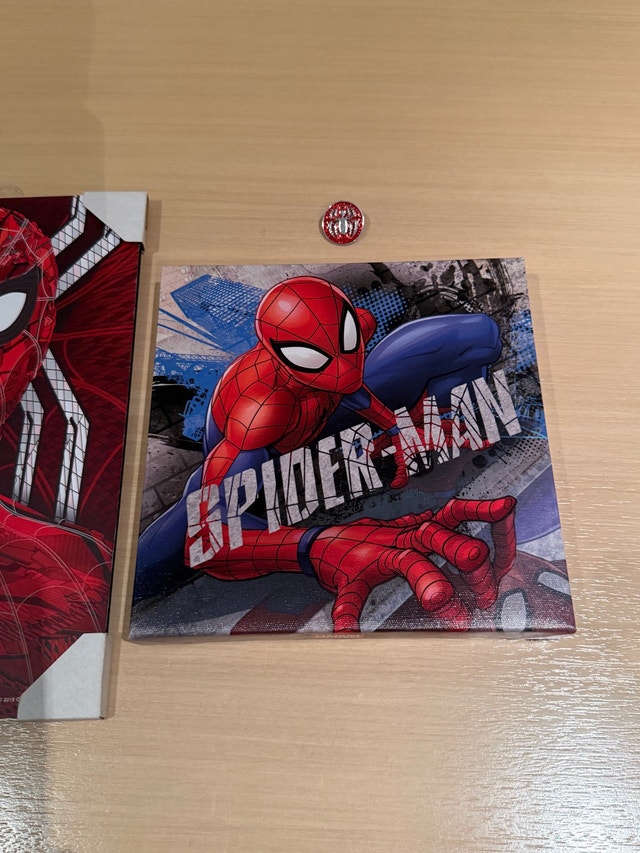 Spider-Man Canvas Wall Decor Set with Pin - photo 3