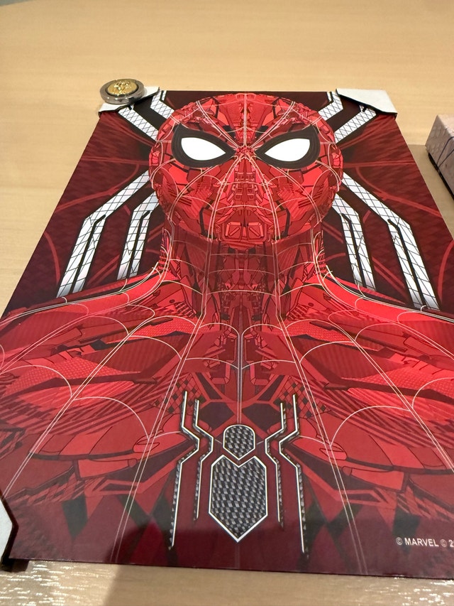 Spider-Man Canvas Wall Decor Set with Pin - photo 5