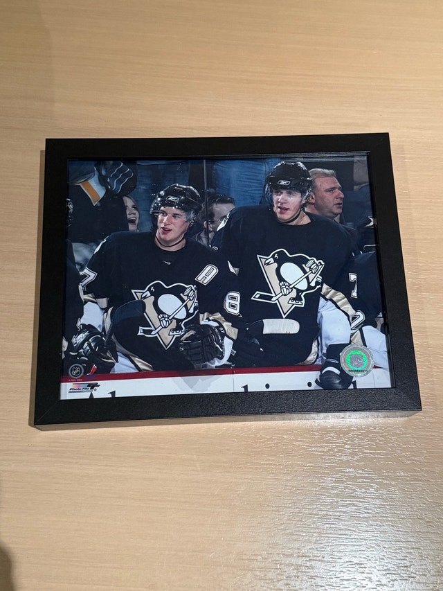 Pittsburgh Penguins Framed Picture