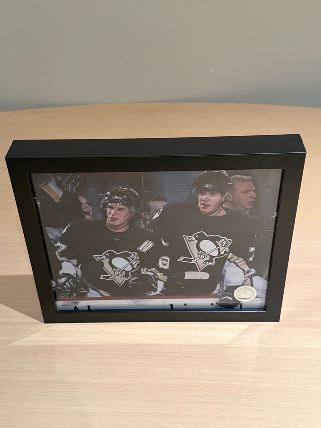 Pittsburgh Penguins Framed Picture - photo 2