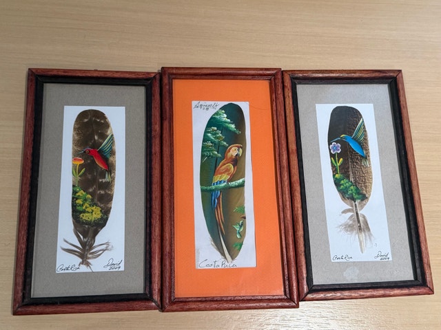 Feather Art Costa Rica