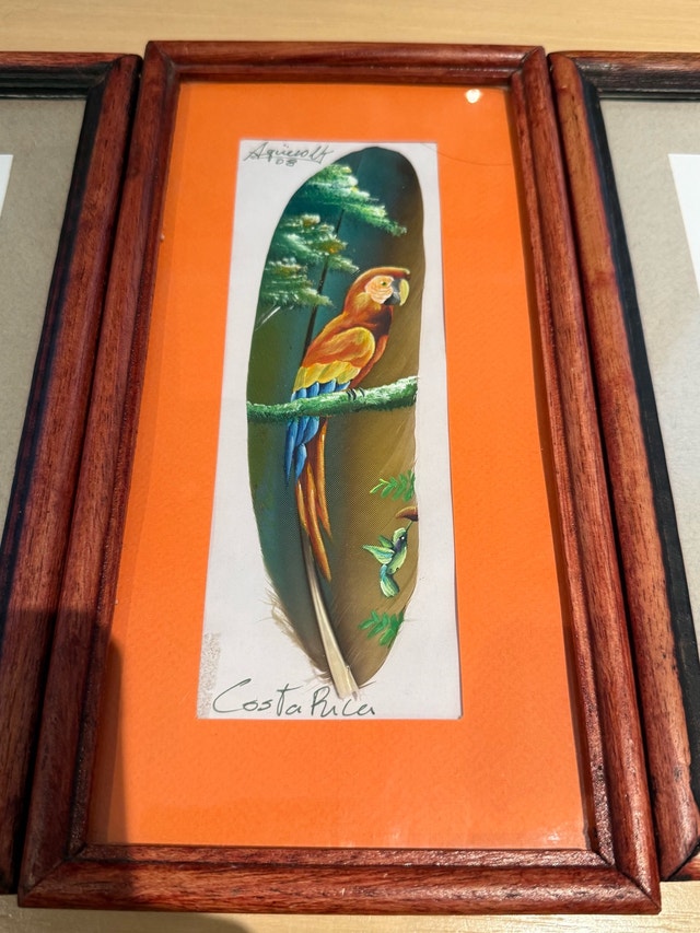 Feather Art Costa Rica - photo 3