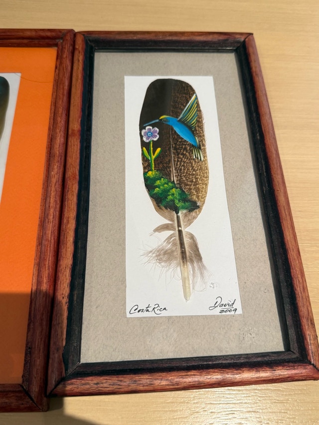 Feather Art Costa Rica - photo 4
