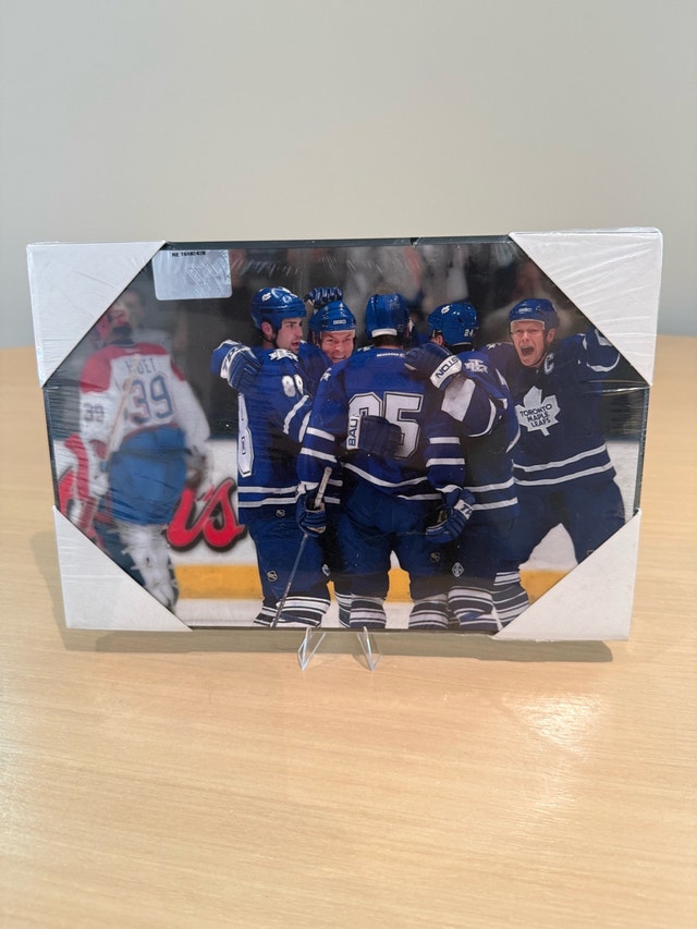 Toronto Maple Leafs Memorabilia Set - photo 4