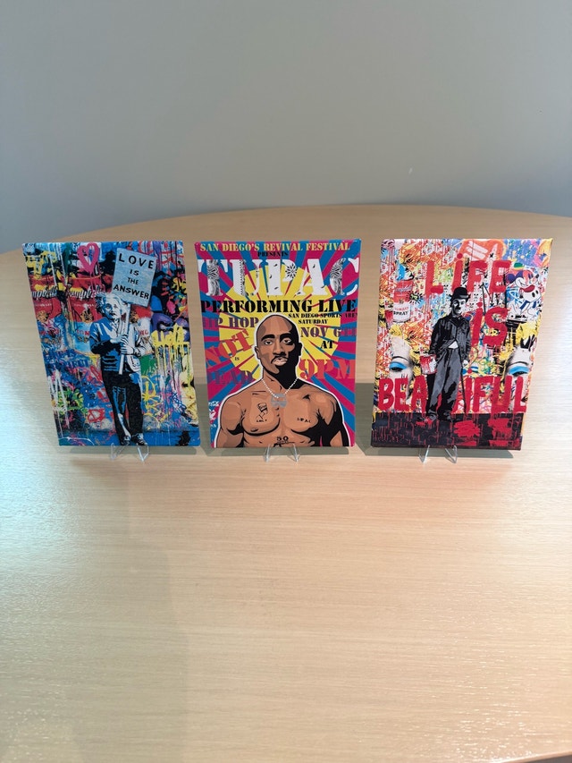 Set of 3 Pop Art Canvas Prints - Einstein, Tupac, Chaplin