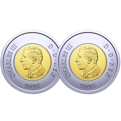 2025 Canada $2 Unknown Soldier Toonie Coins - photo 2