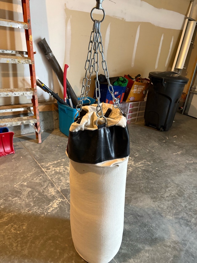 Punching Bag + Gloves