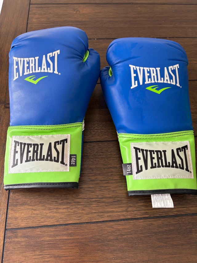 Punching Bag + Gloves - photo 2