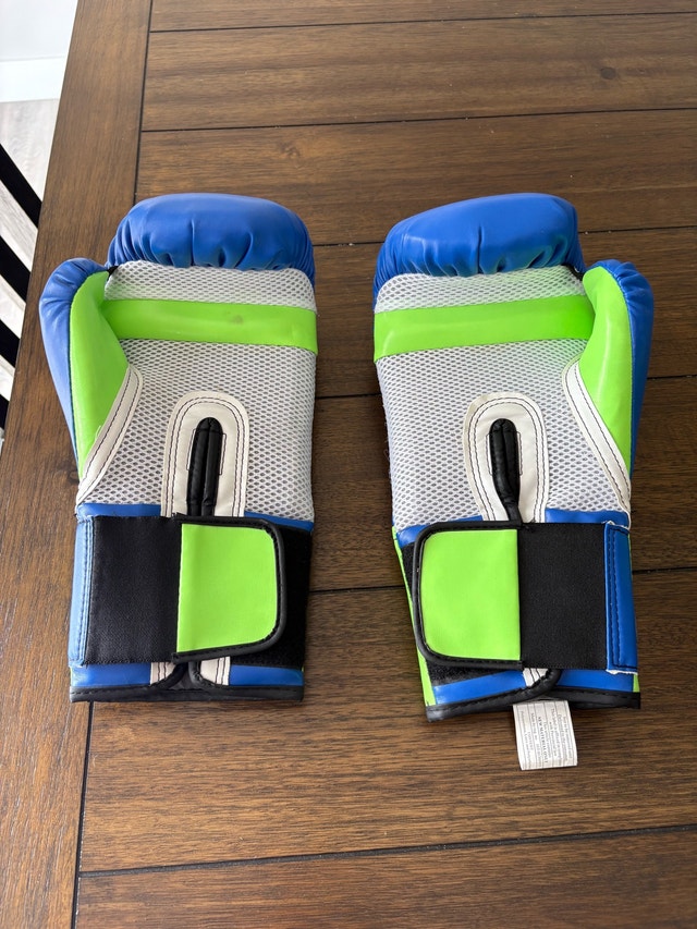 Punching Bag + Gloves - photo 3