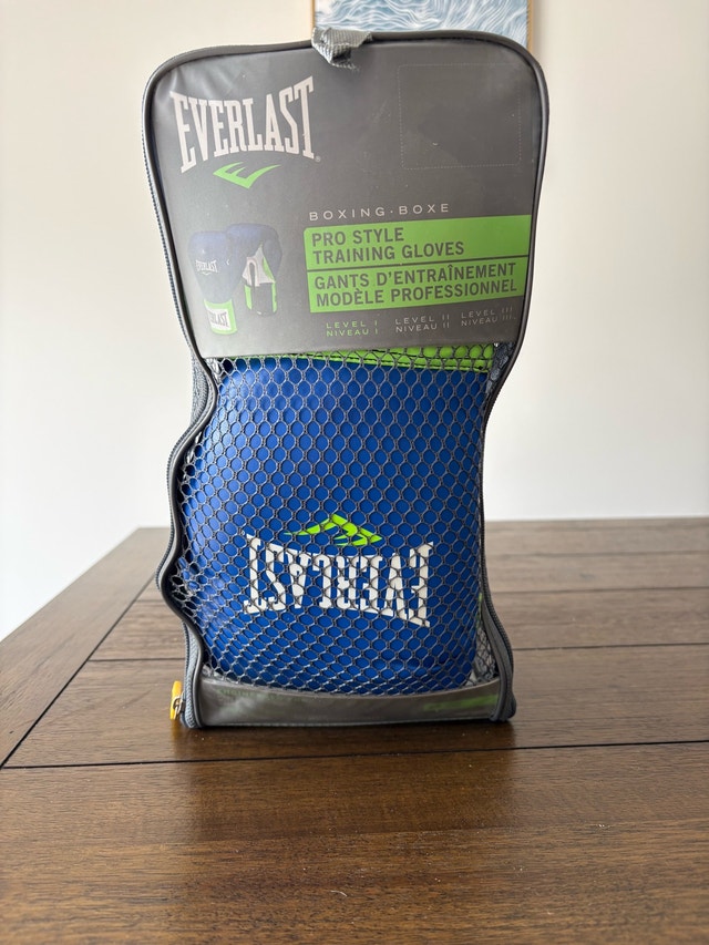 Punching Bag + Gloves - photo 4