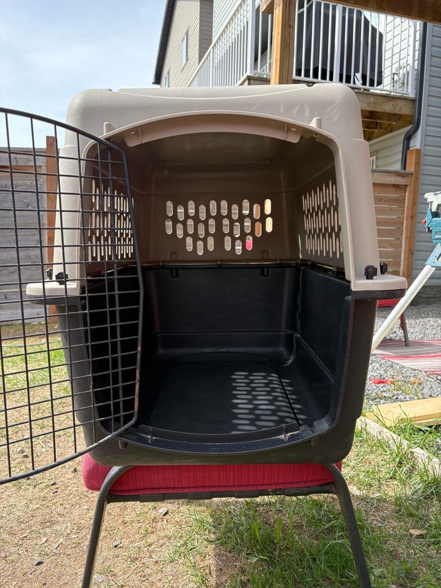 Plastic Dog Crate