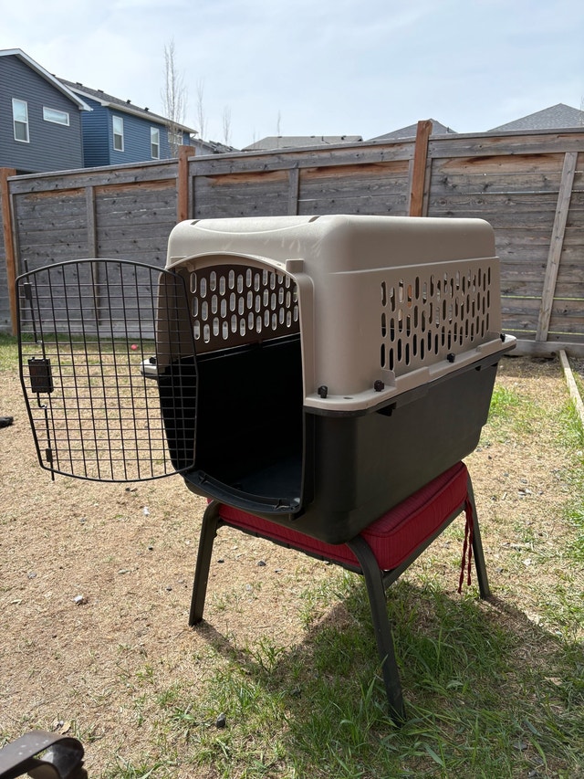 Plastic Dog Crate - photo 2