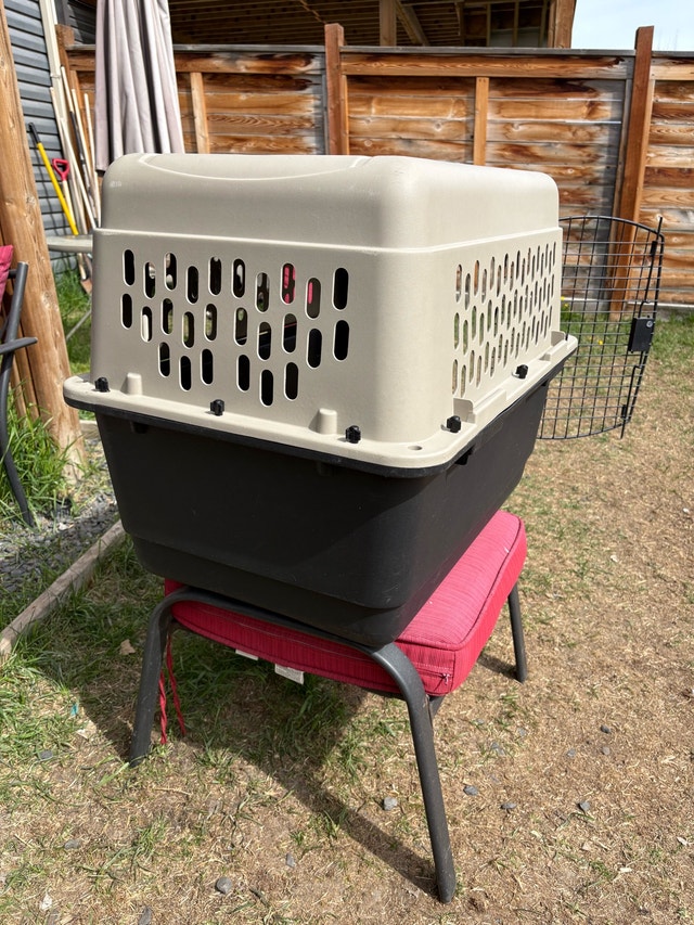 Plastic Dog Crate - photo 3