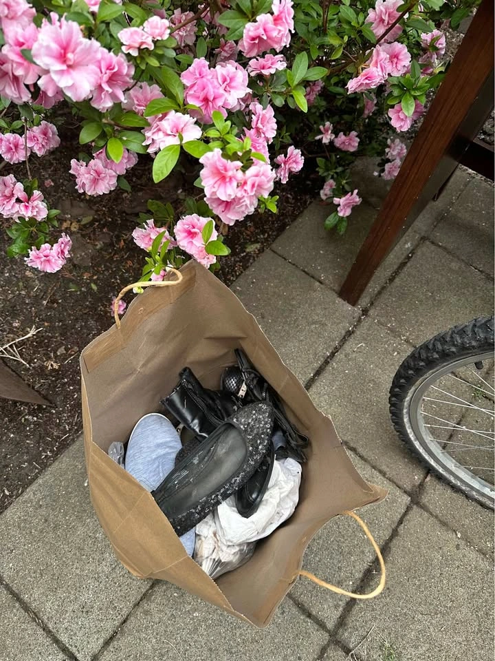 Women's Shoes/Heels Lot
