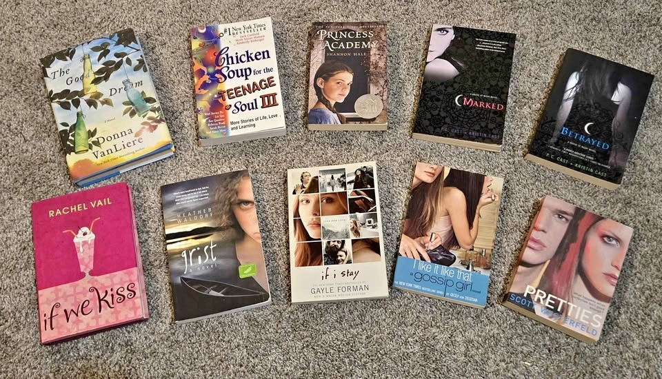 10 Popular YA Fiction Books Bundle