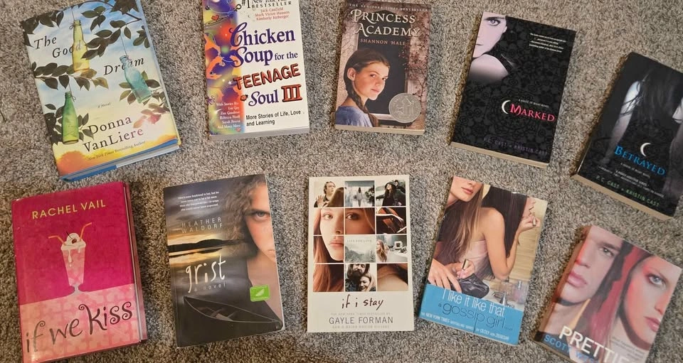 10 Popular YA Fiction Books Bundle - photo 2