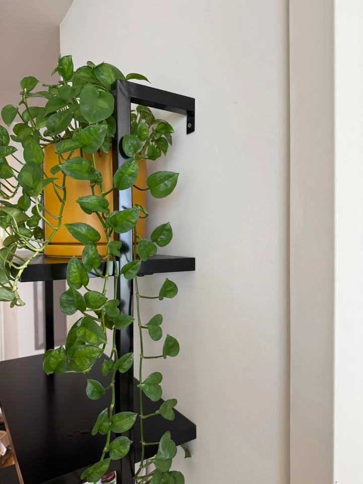 Nathan James Theo 5-Shelf Ladder Bookcase - Black Wood & Metal - photo 4