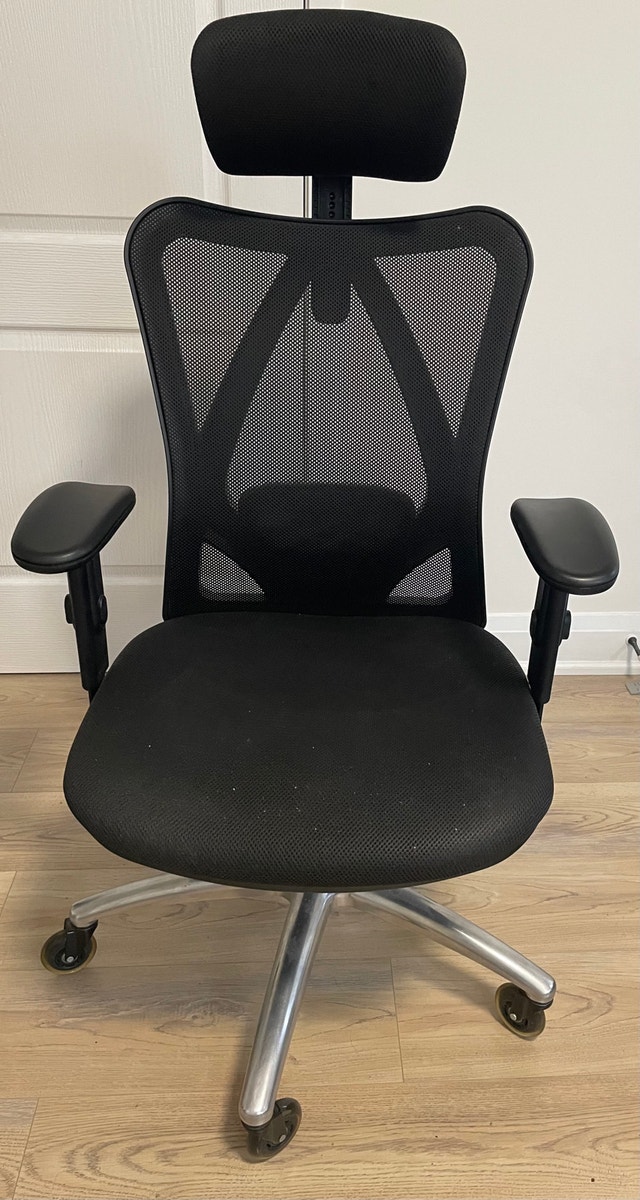 Duramont Ergonomic Adjustable Office Chair