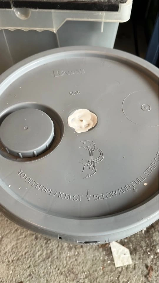 Paint New Full Pail Latex Flat White - photo 2