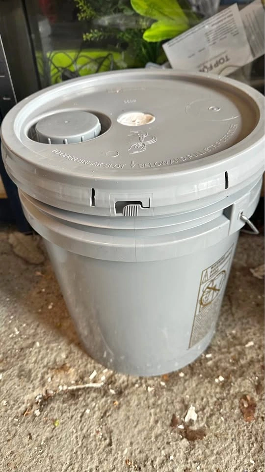 Paint New Full Pail Latex Eggshell White