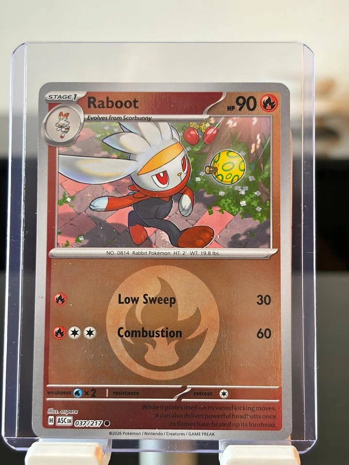 Raboot [Energy] #37 | Pokemon Ascended Heroes