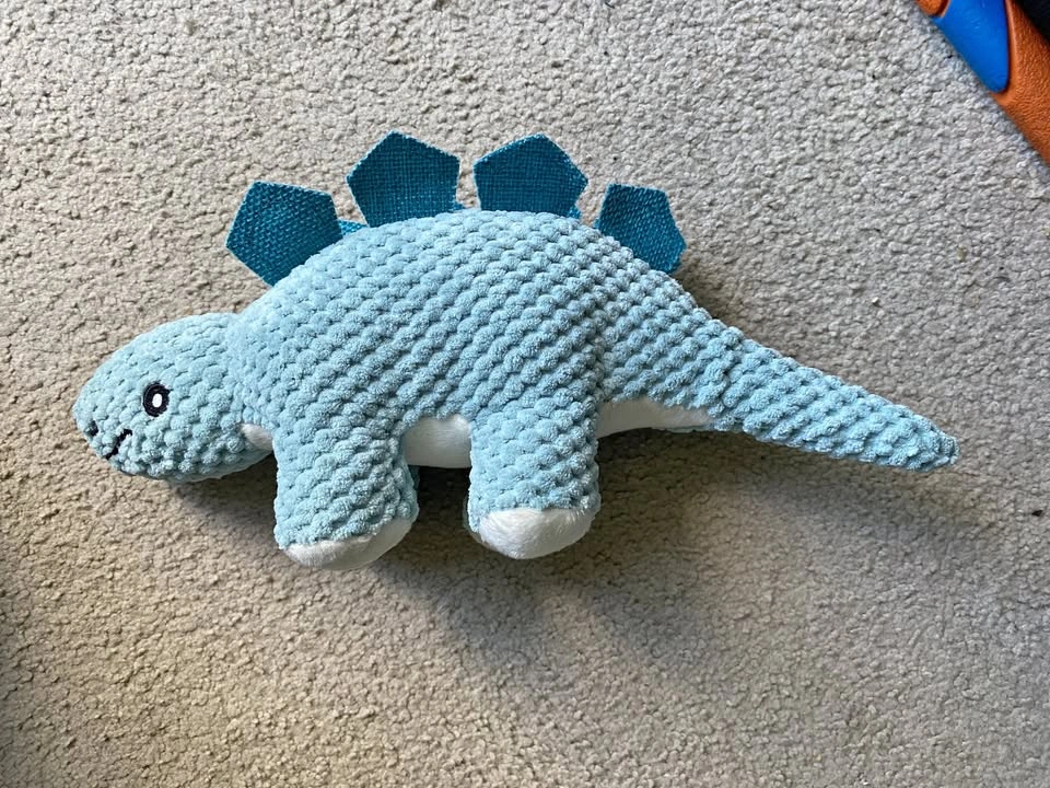 Dinosaur Dog Toy