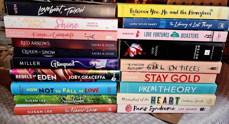 Young Adult and Fiction Book Lot