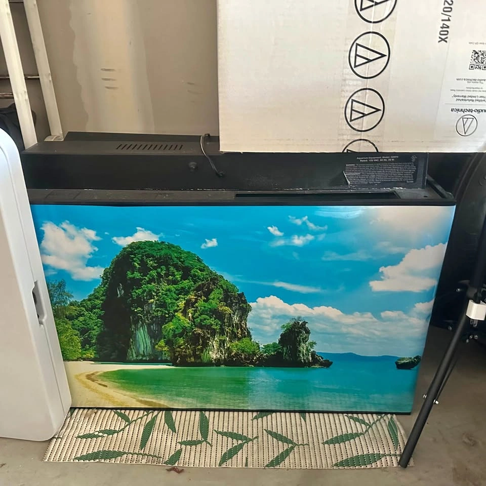 Aquarium with Tropical Backdrop