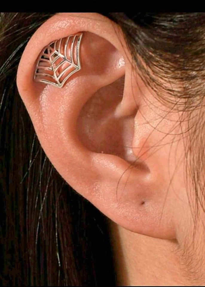 Silver spiderweb stud earrings