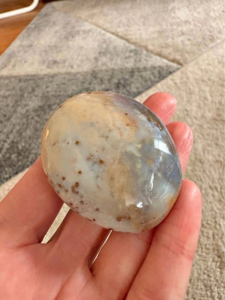 Ocean Jasper Palmstone