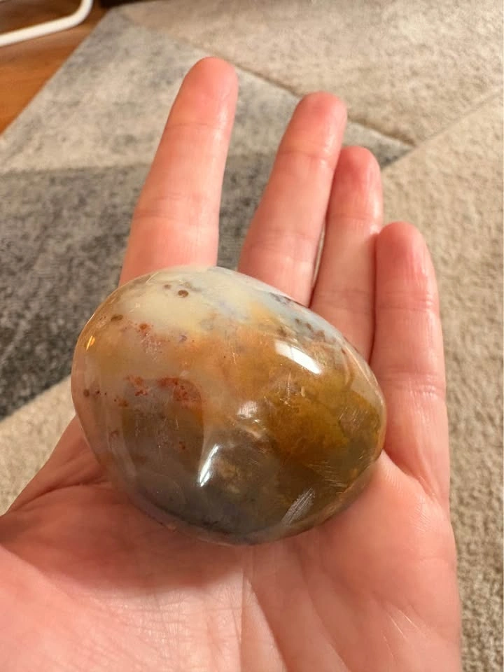 Ocean Jasper Palmstone - photo 2