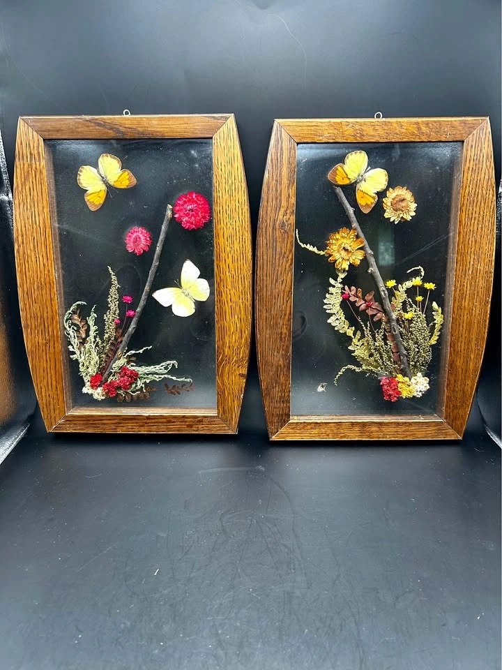 Vintage Botanical & Butterfly Wall Art