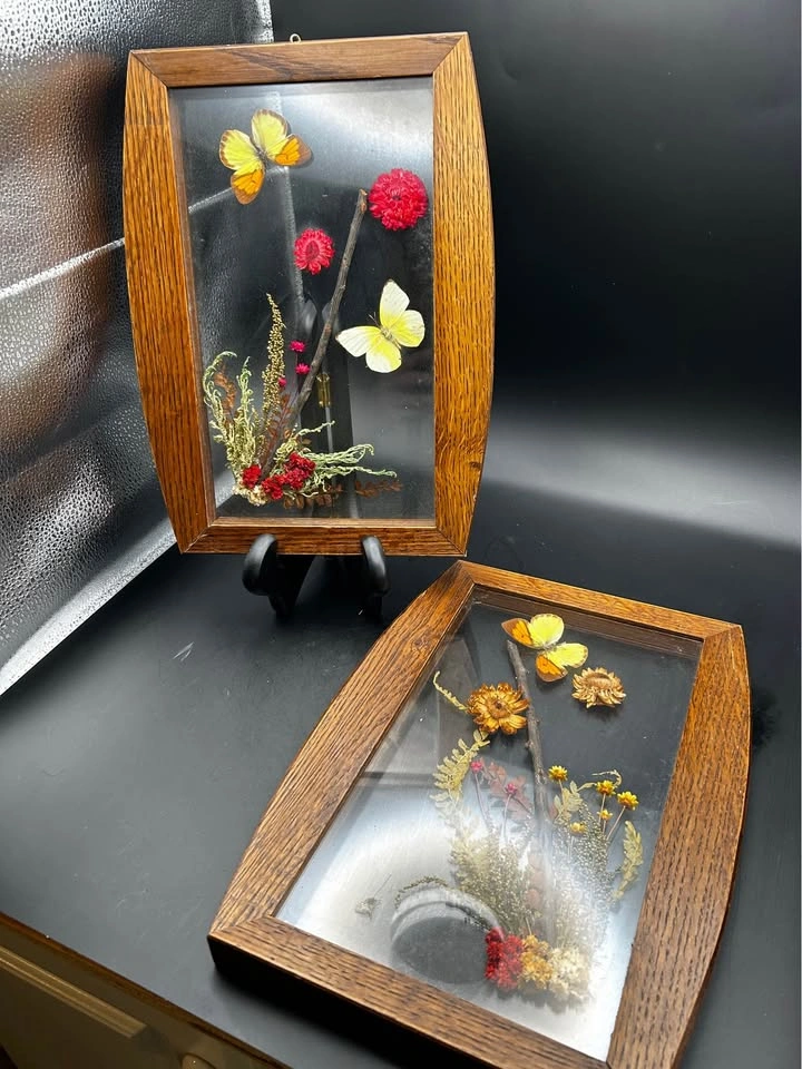 Vintage Botanical & Butterfly Wall Art - photo 2