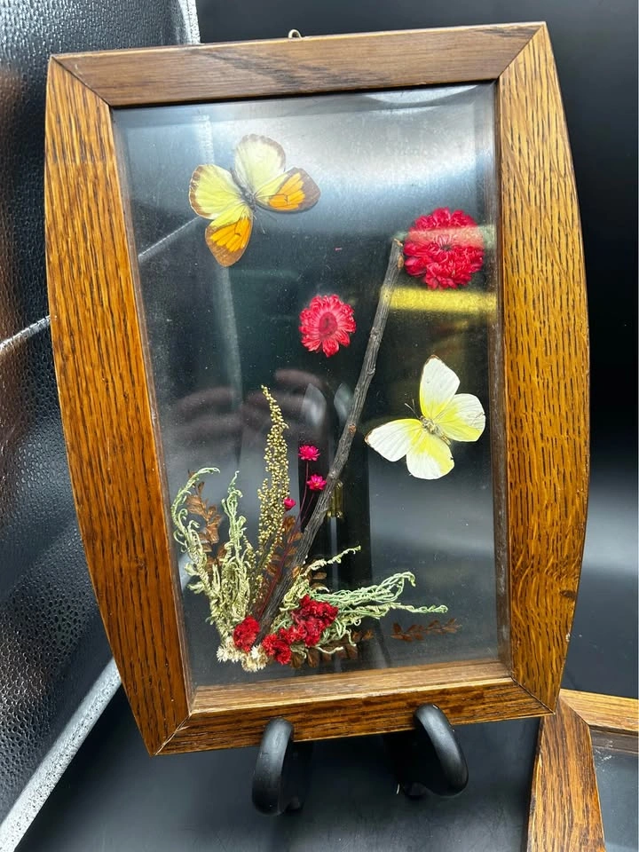Vintage Botanical & Butterfly Wall Art - photo 3