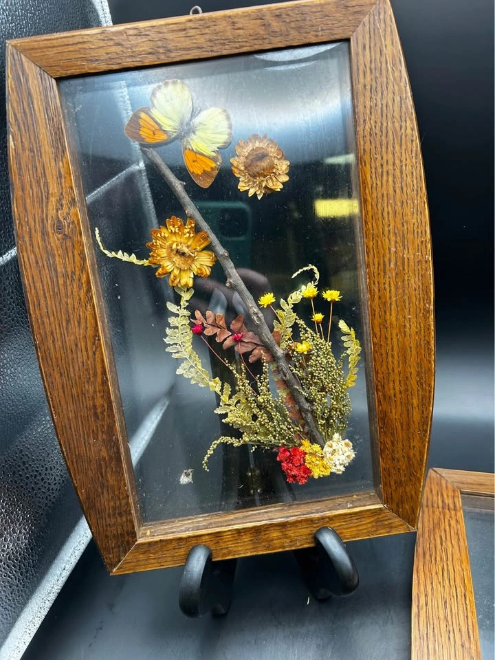 Vintage Botanical & Butterfly Wall Art - photo 4