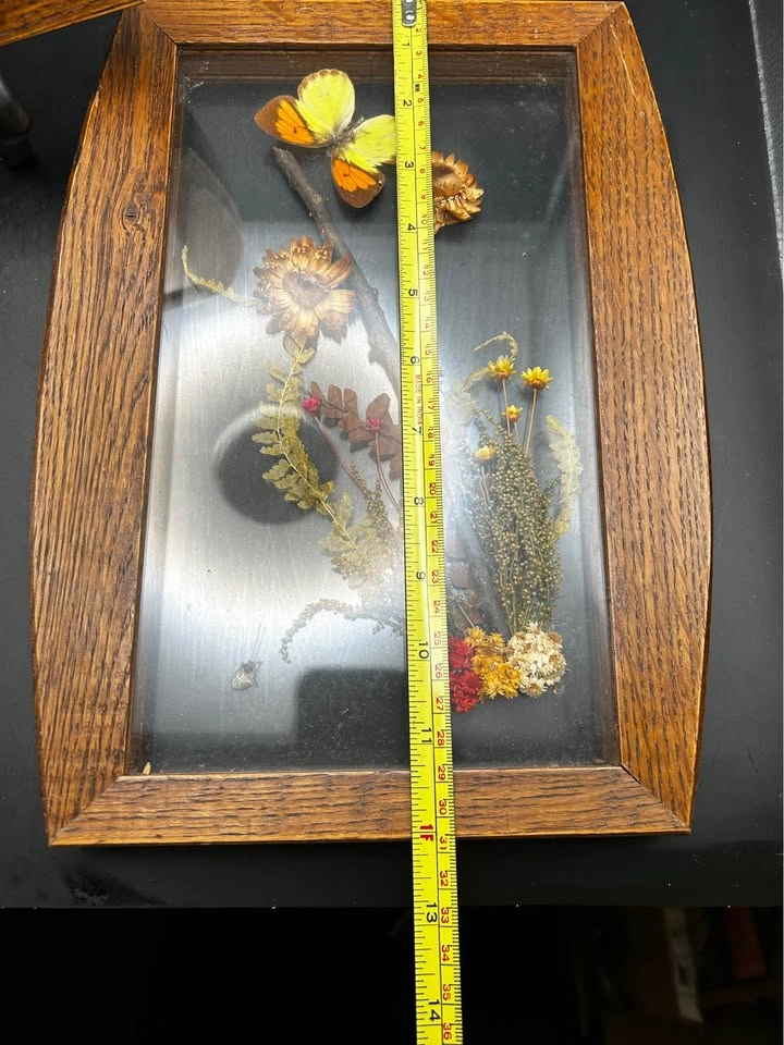 Vintage Botanical & Butterfly Wall Art - photo 5